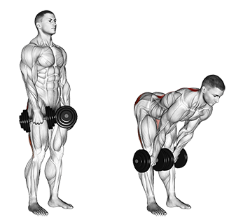 Stiff legs workout new arrivals